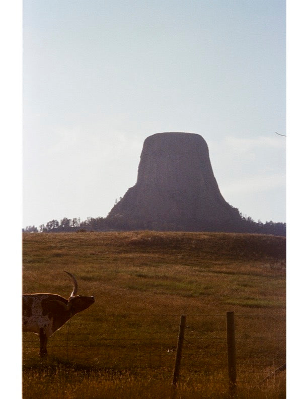 devil's tower